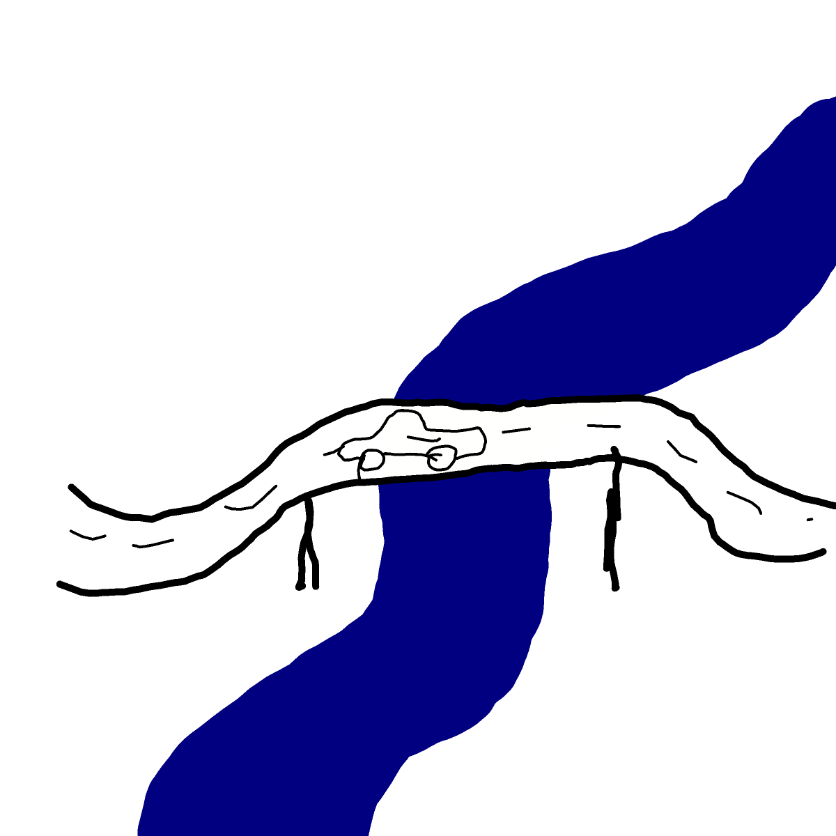 Bridge drawing by Nuss