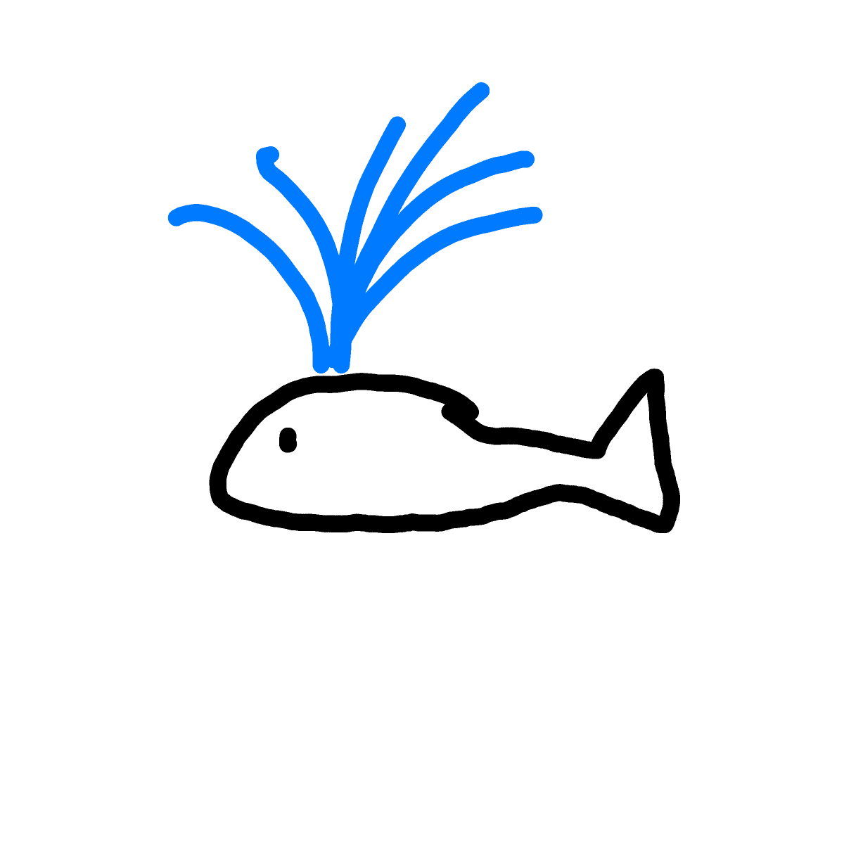 Whale drawing by ishak