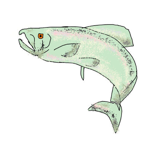 Fish drawing by chloster