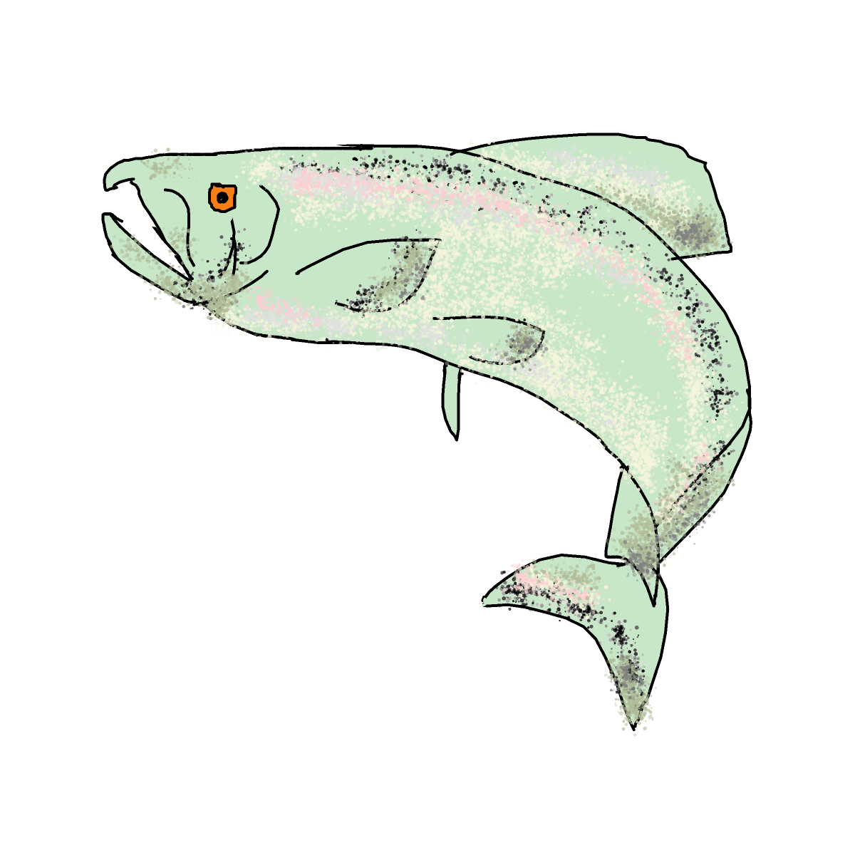 Fish drawing by chloster