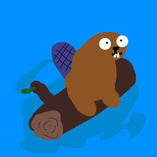 Beaver drawing by knoxy