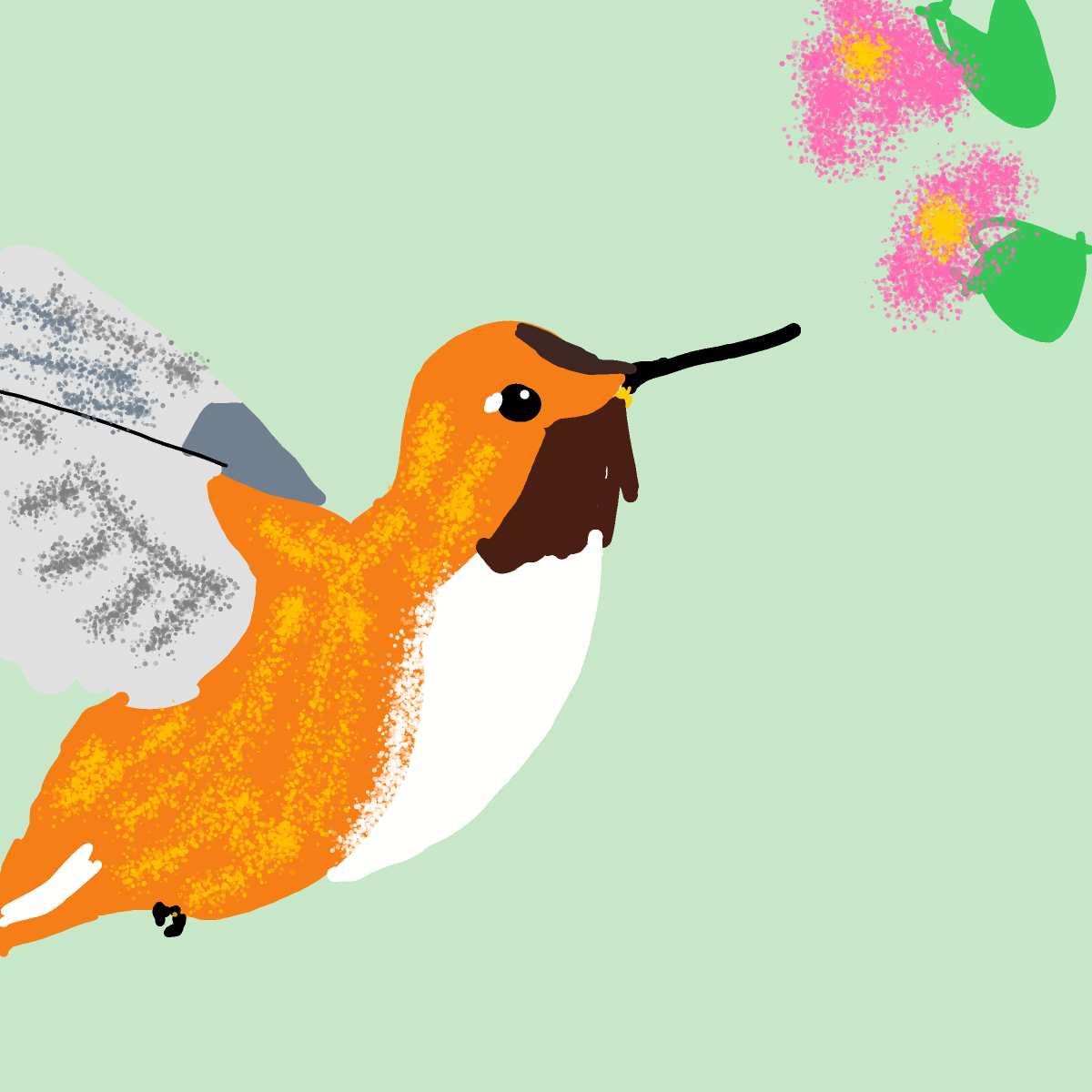 Hummingbird drawing by Guardianoflives