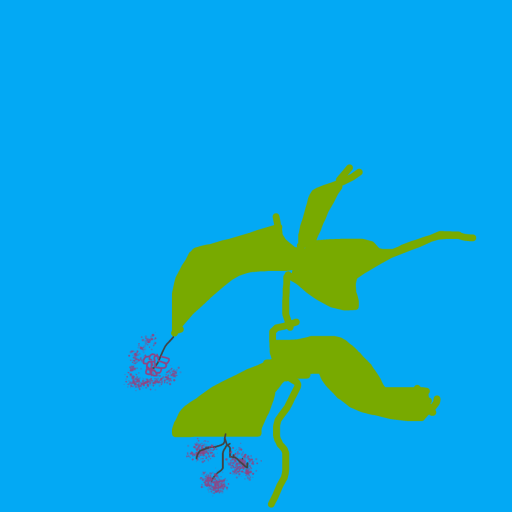 Grapes drawing by el fardoni