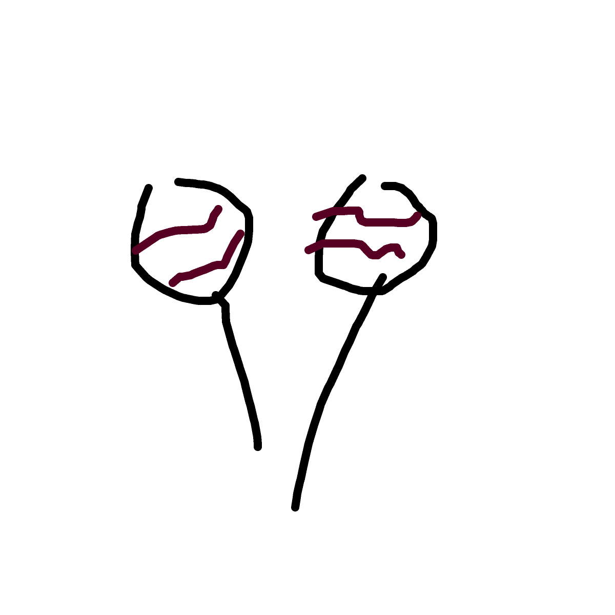 Maracas drawing by bia