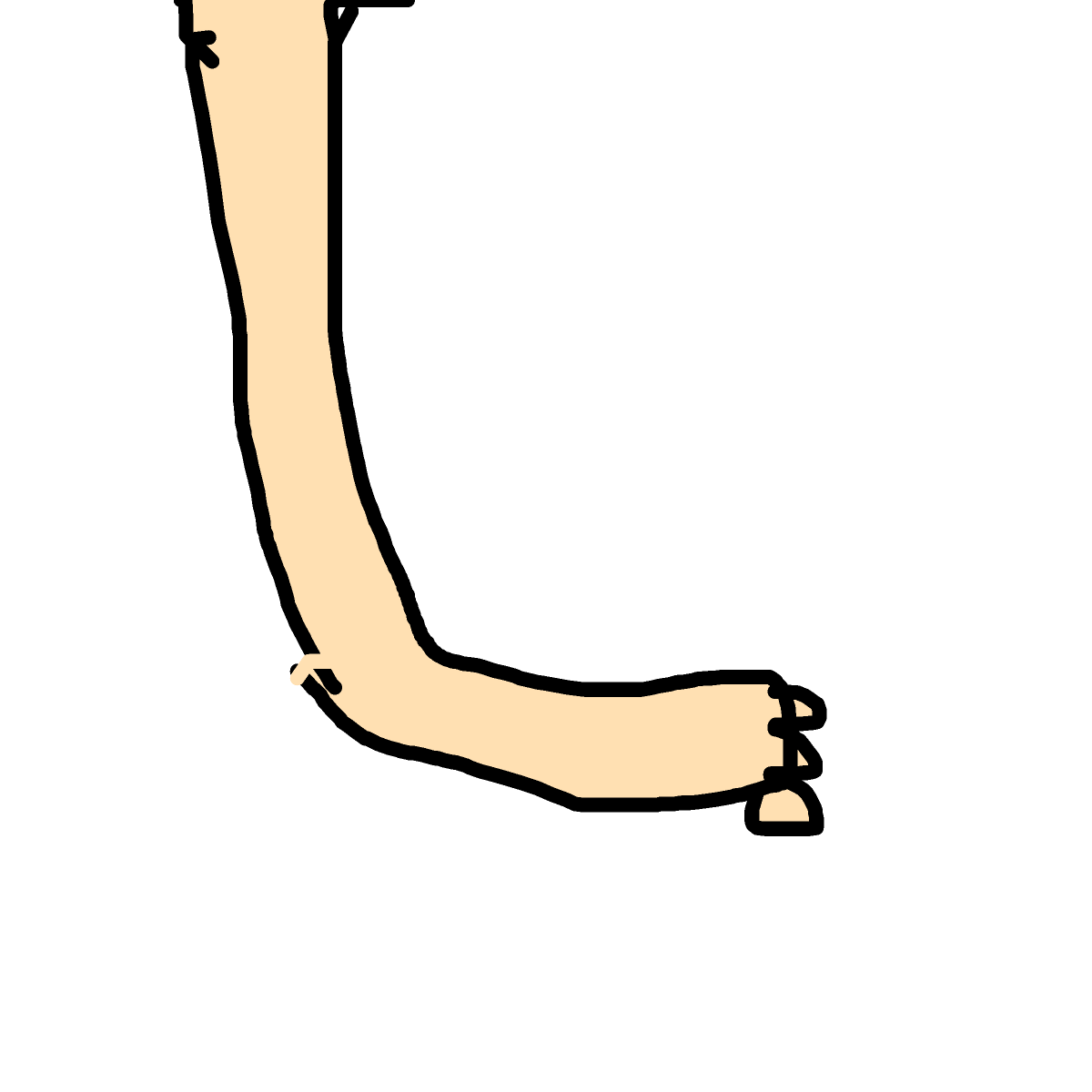 Leg drawing by louie