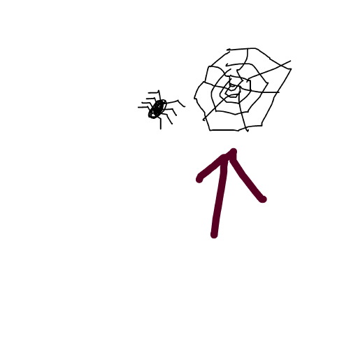 Spider Web drawing by loddie