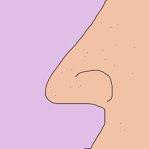 Nose drawing by krissywissy