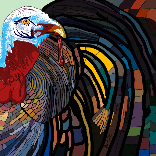 Turkey drawing by Bridgitte