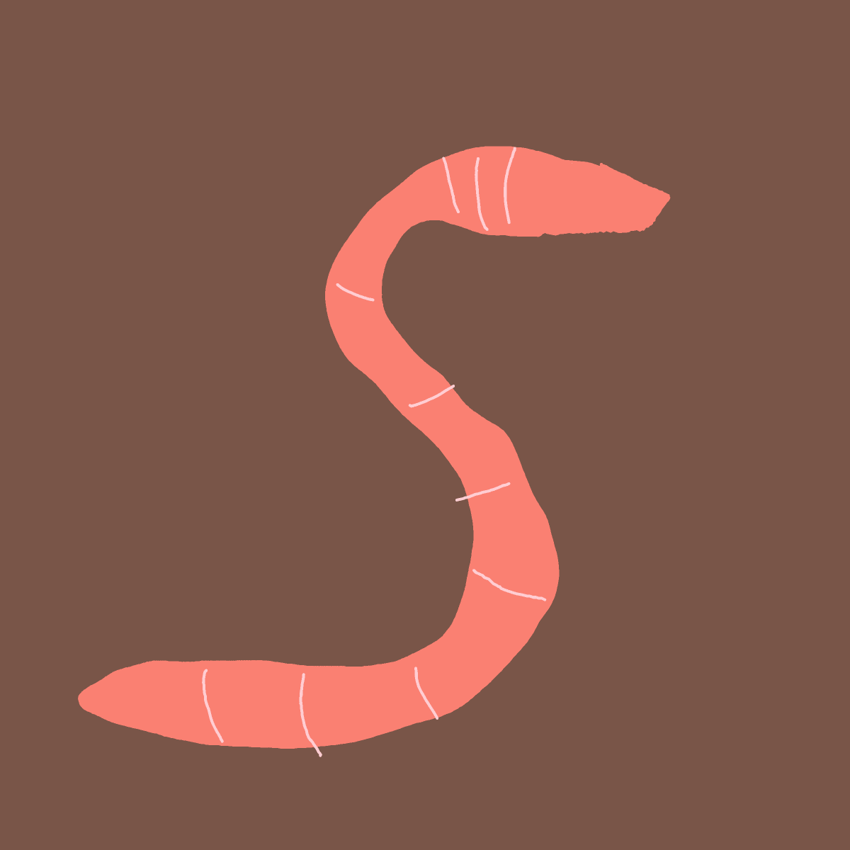 Worm drawing by Shandi