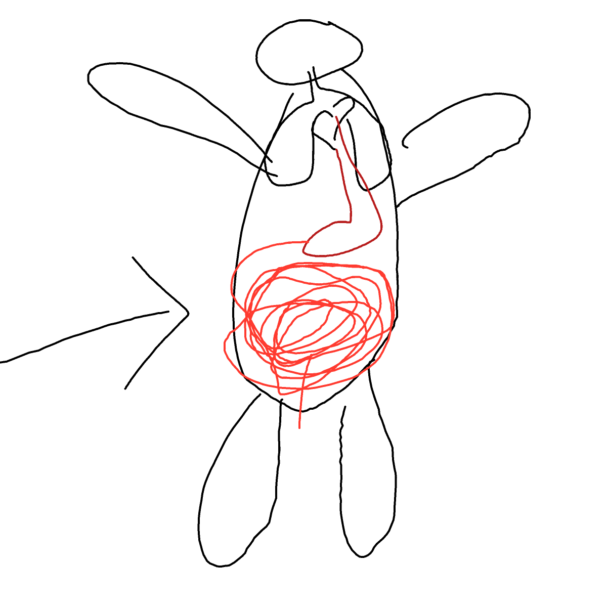 Intestines drawing by Shandi