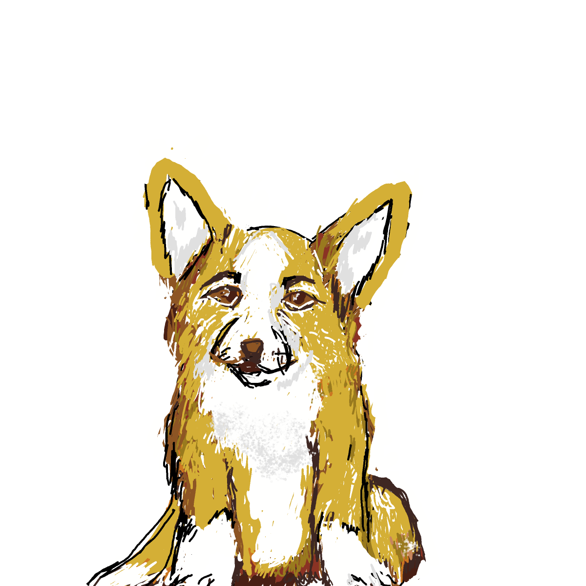 Corgi drawing by manders