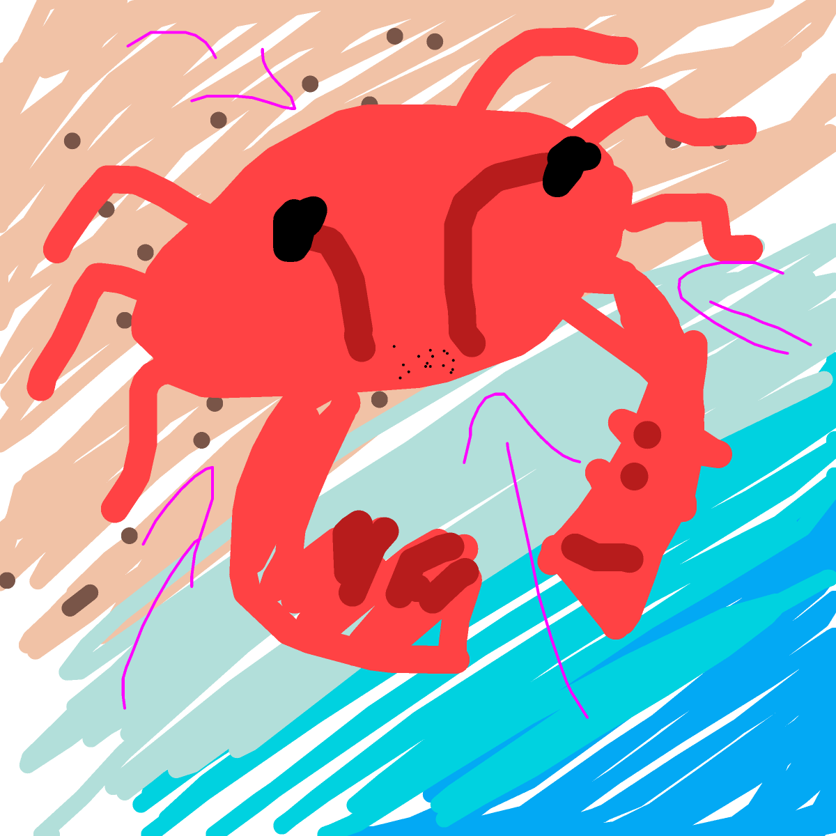 Crab drawing by ashbee
