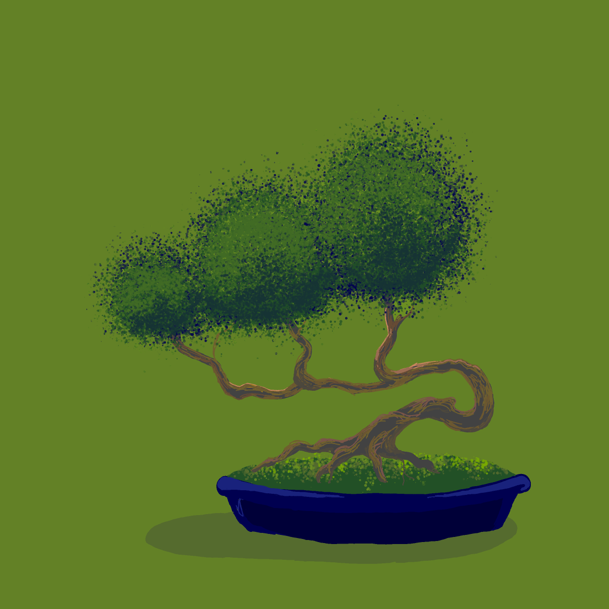 Bonsai drawing by Soybean