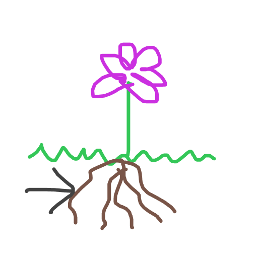 Root drawing by pink-omega-master