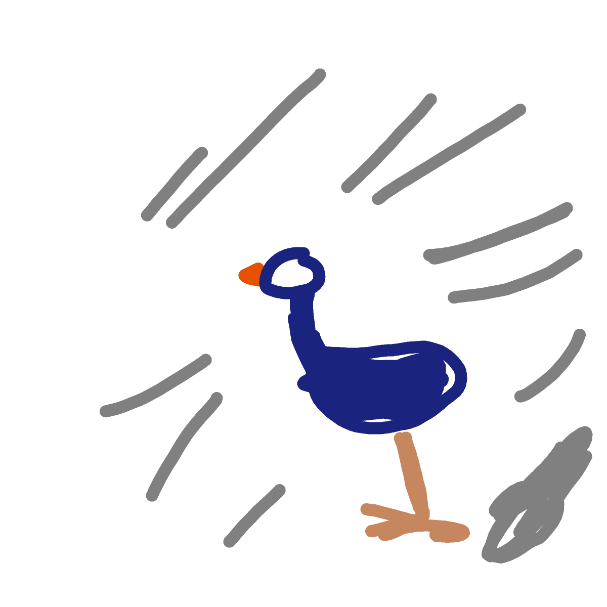 Road Runner drawing by cream-live-style