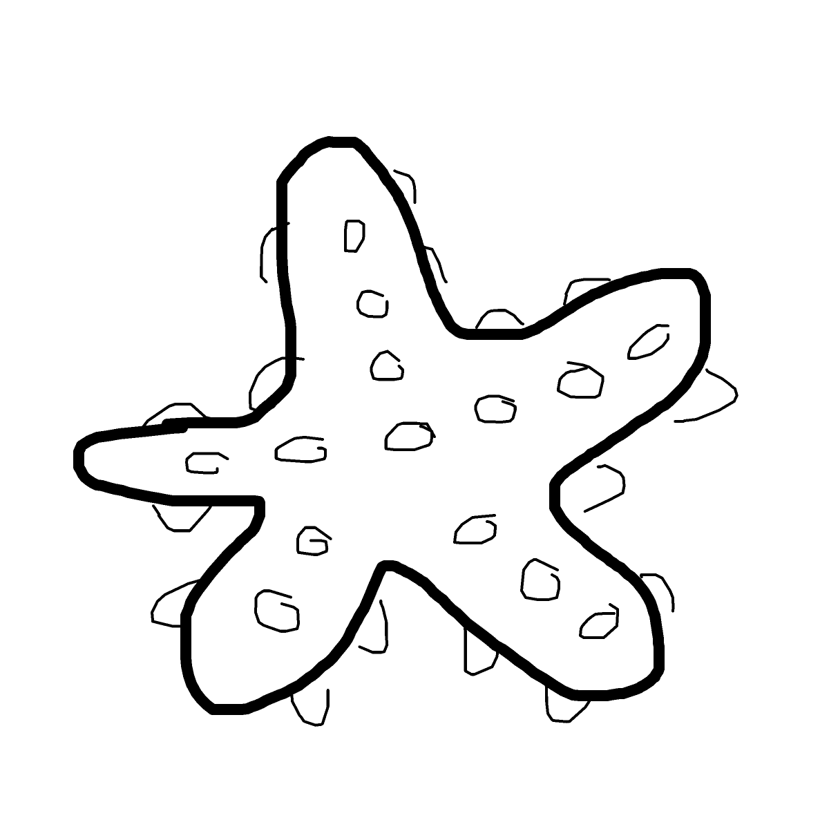 Starfish drawing by theduchess