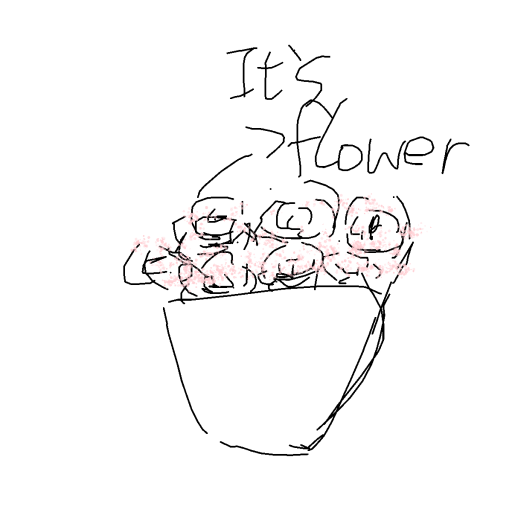 Bouquet drawing by dust