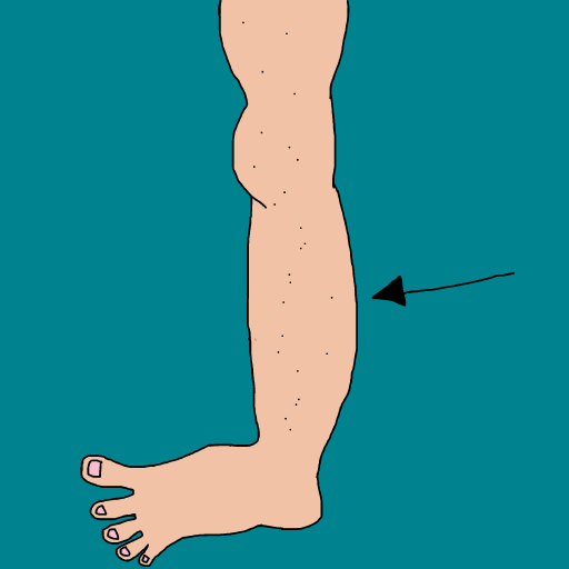 Calf drawing by krissywissy
