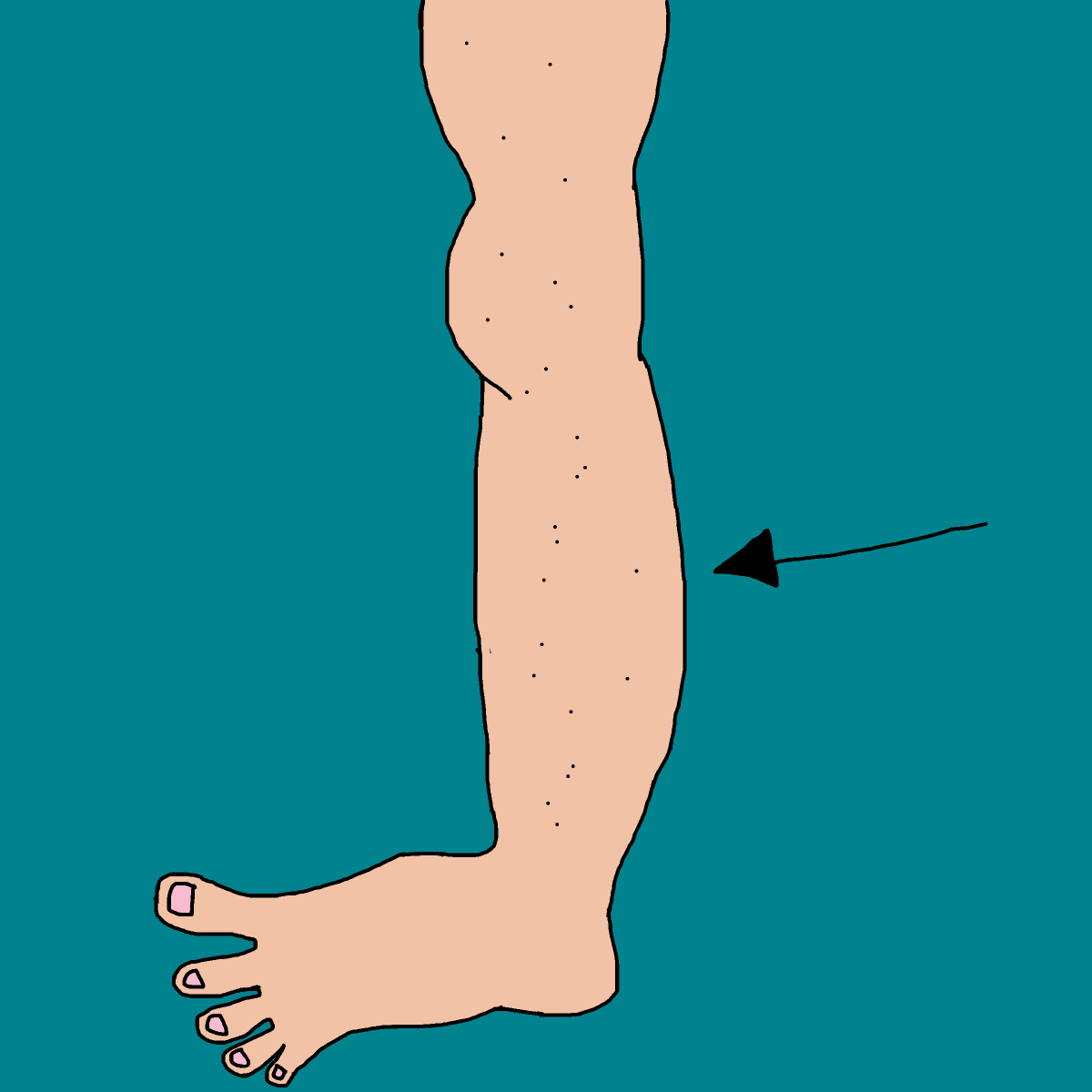 Calf drawing by krissywissy
