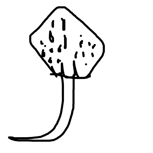 Stingray drawing by mikestam195