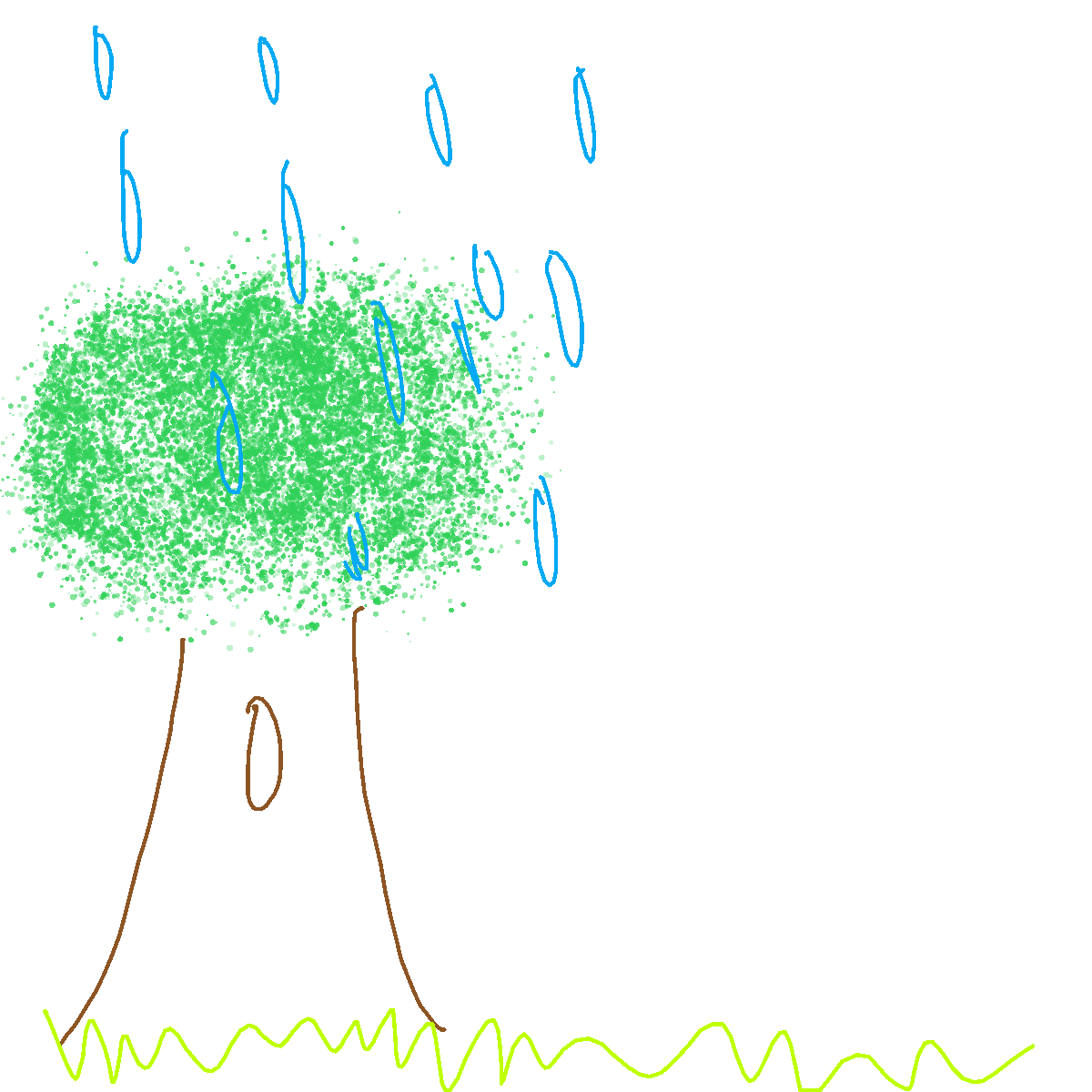 Rainforest drawing by jtv