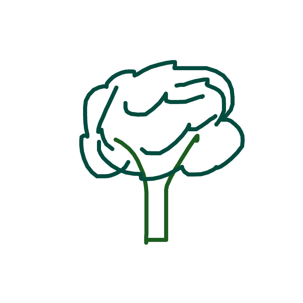 Broccoli drawing by bgggg