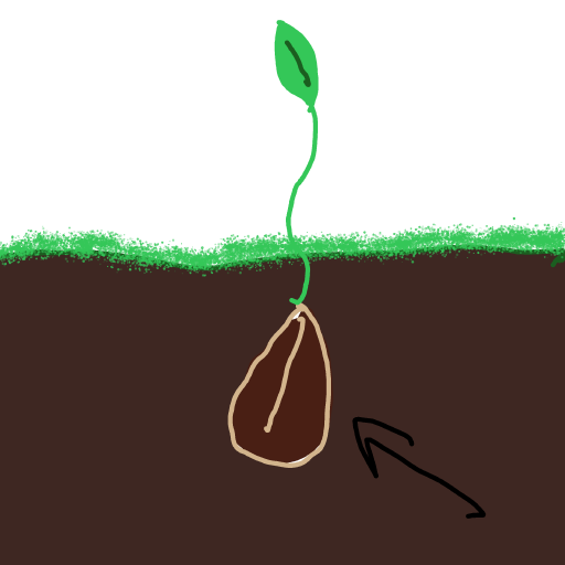Seed drawing by Guardianoflives