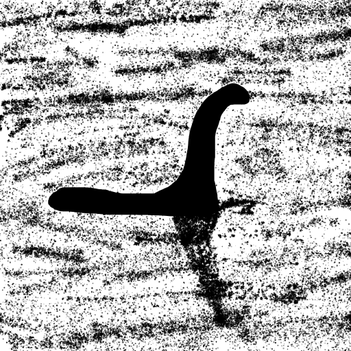 Loch Ness Monster drawing by jashezilla