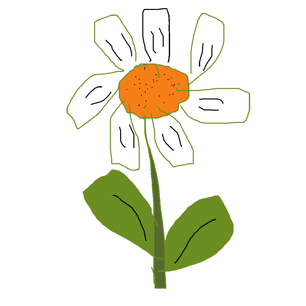 Daisy drawing by mikestam195