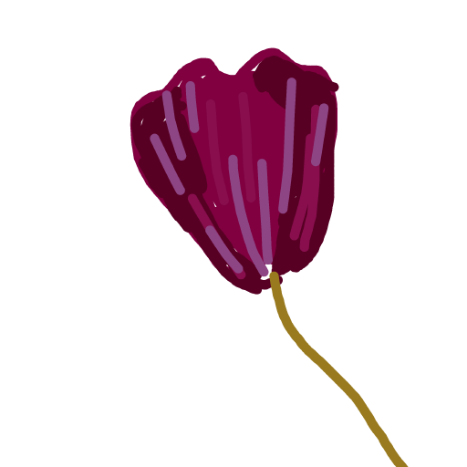 Tulip drawing by gamma-mint-smith