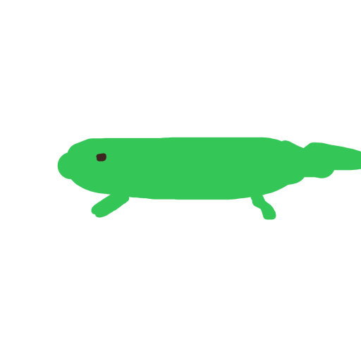 Lizard drawing by tee