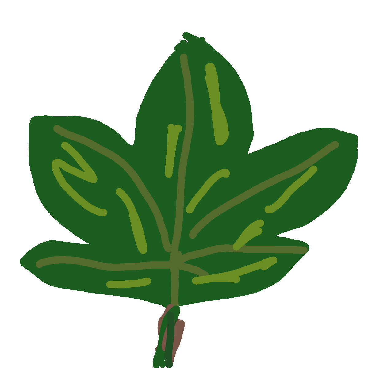 Leaf drawing by DirtyJew
