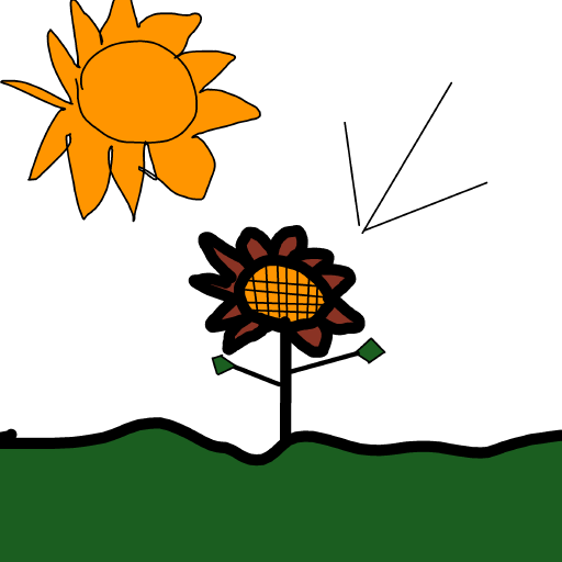 Sunflower drawing by Almog