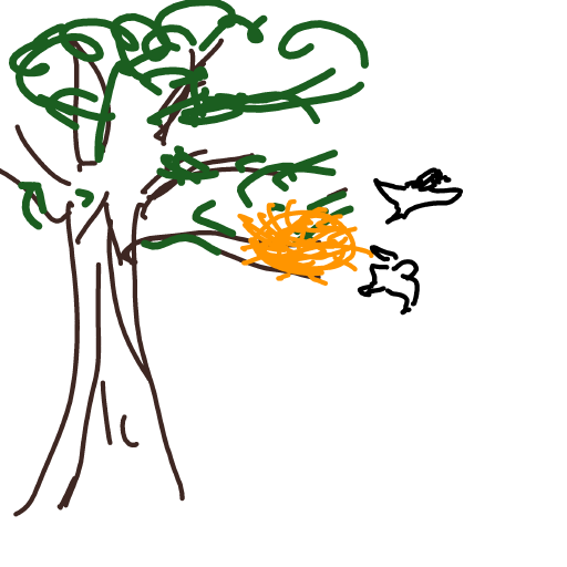Nest drawing by Shew