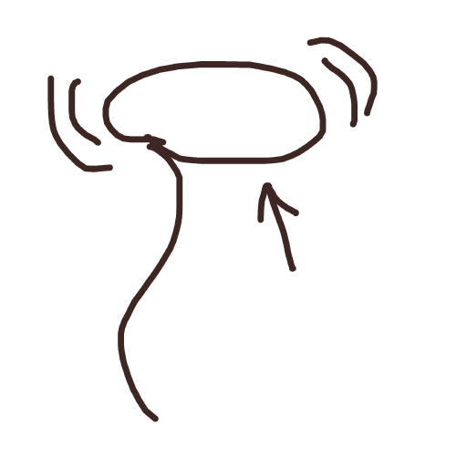 Lasso drawing by bla bla bla
