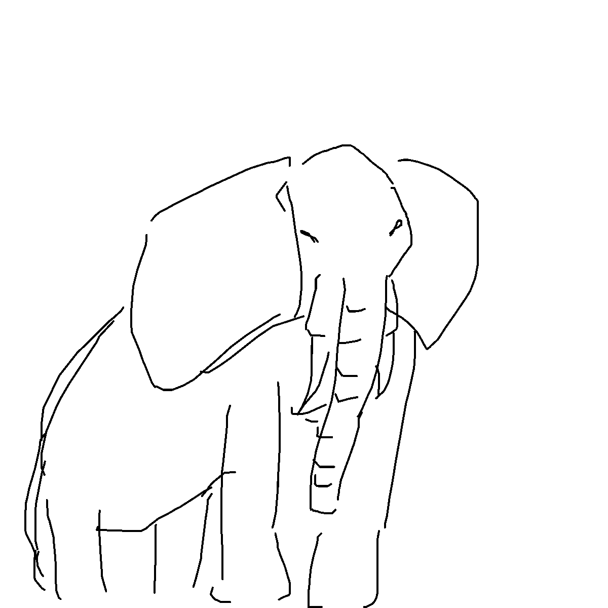 Elephant drawing by nammy
