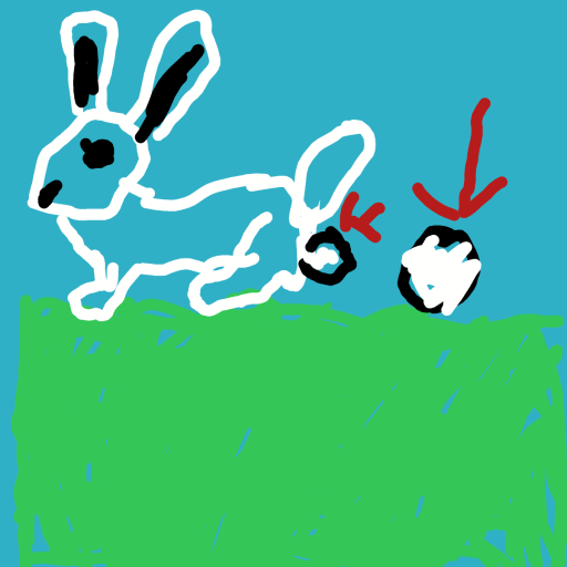 Egg drawing by common loon