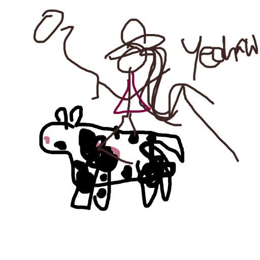 Cowgirl drawing by princess fiona