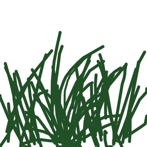 Grass drawing by eleanor