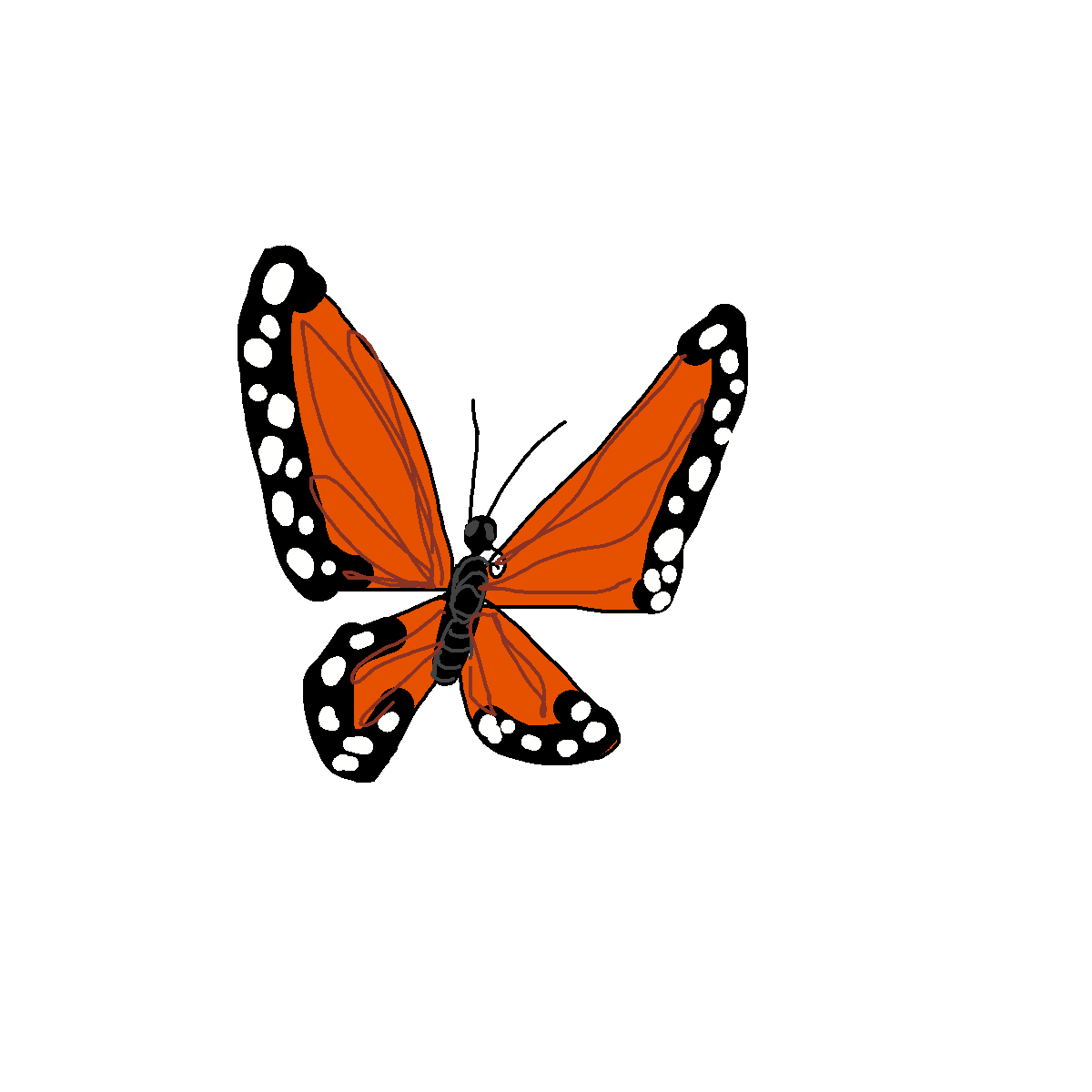Butterfly drawing by nammy