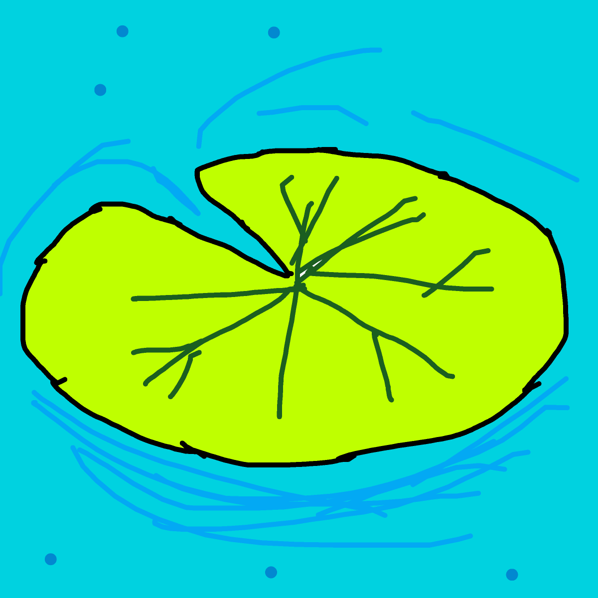 Lily Pad drawing by dan