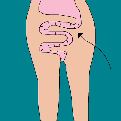 Intestines drawing by krissywissy