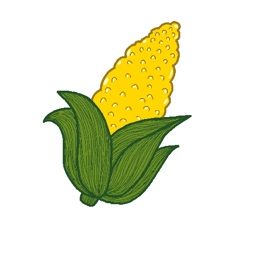 Corn drawing by mushoe