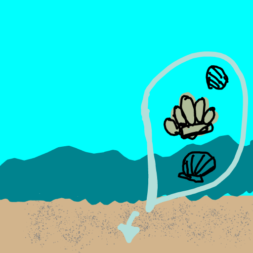 Seashell drawing by sun-rose-drive