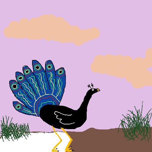 Peacock drawing by pancakes palette