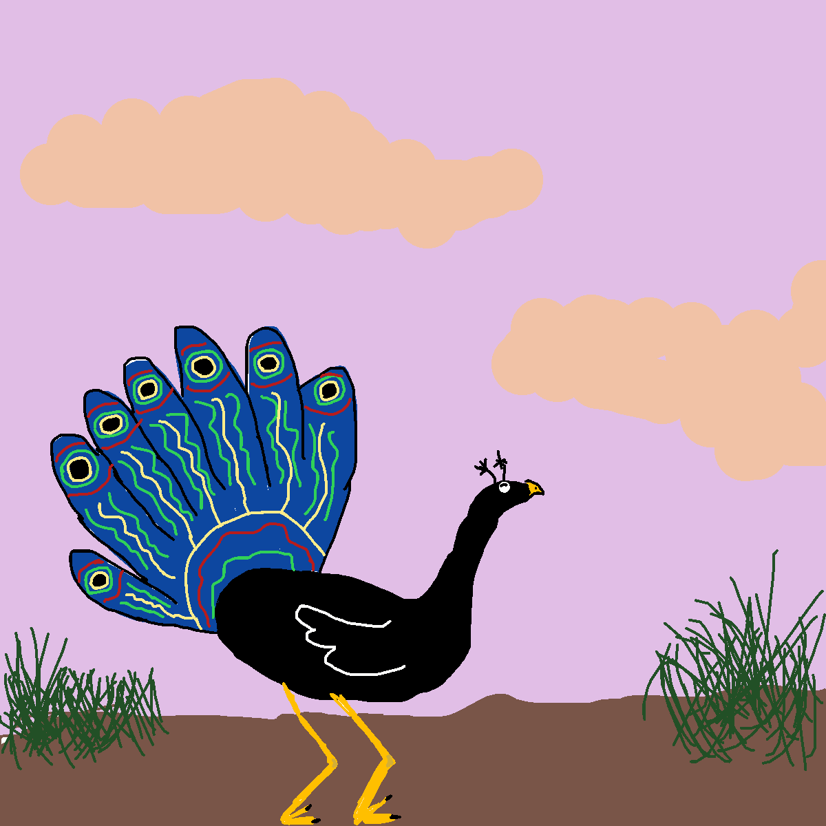 Peacock drawing by pancakes palette