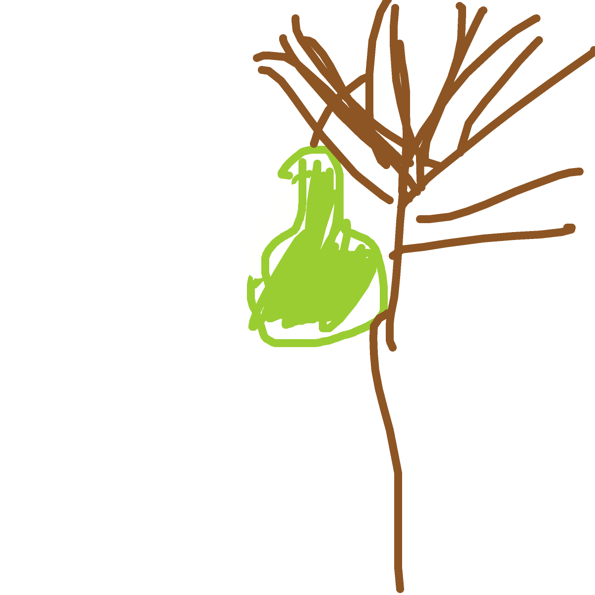 Pear drawing by prettyboyycris