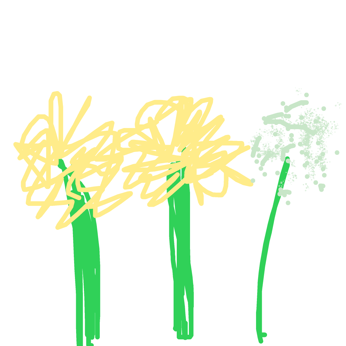 Dandelion drawing by wide-pure-sketch