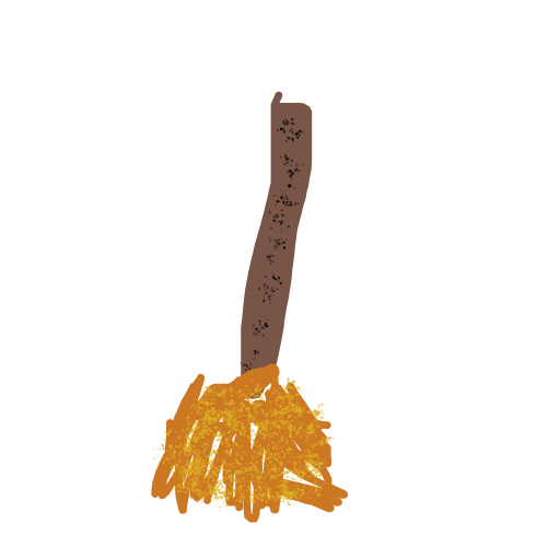 Broom drawing by justin