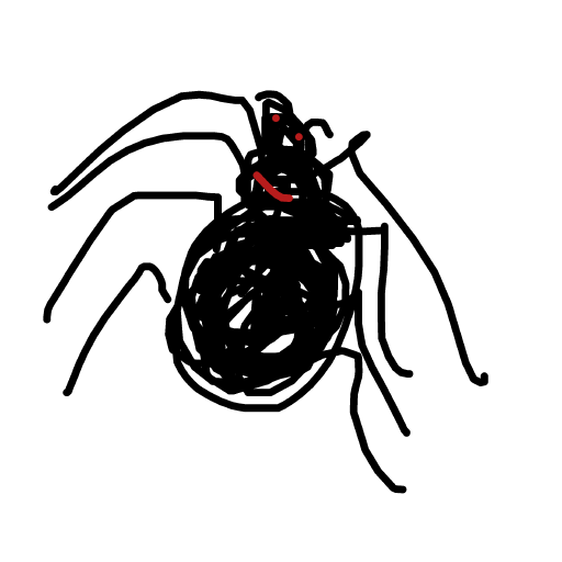 Spider drawing by neat-sun-drawer